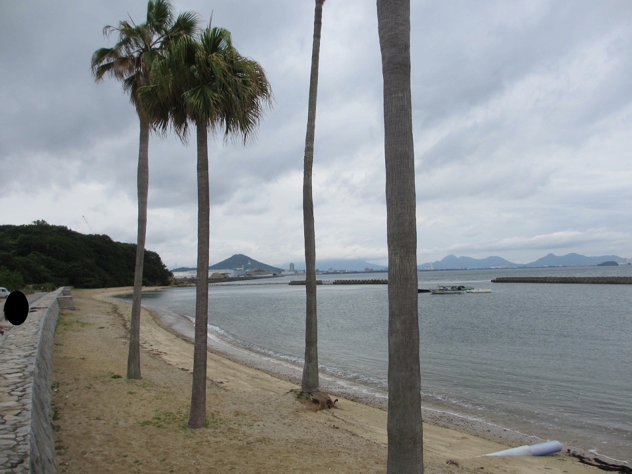 香川県,海釣り,ポイント,沙弥島海水浴場